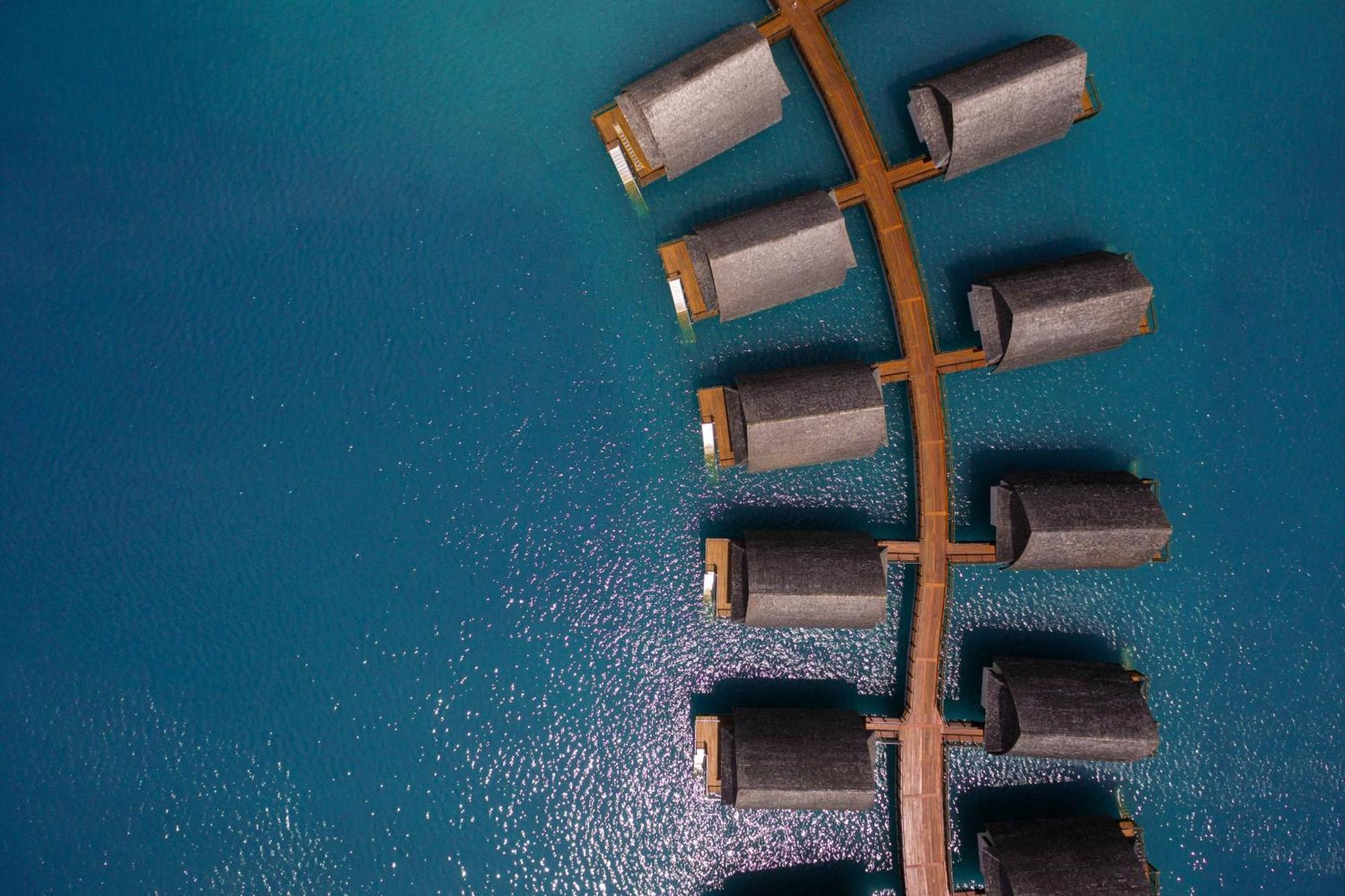 Fiji Marriott Resort Momi Bay Екстер'єр фото A tree of 1000000000000000000000000000000000000000000000000000000000000000000000000000000000000000000000000000000000000000000000000000000000000000000000000000000000000000000000000000000000000000000000000000